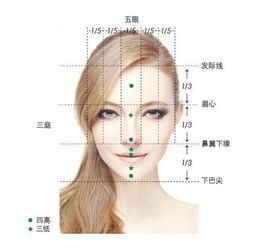 四、 悬胆鼻及耳位于眉上：分析能力与志向的综合体现