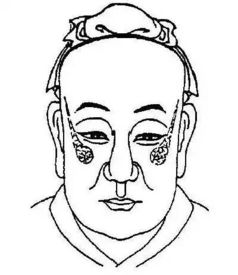 颧骨与鼻梁的“君臣”辩证关系