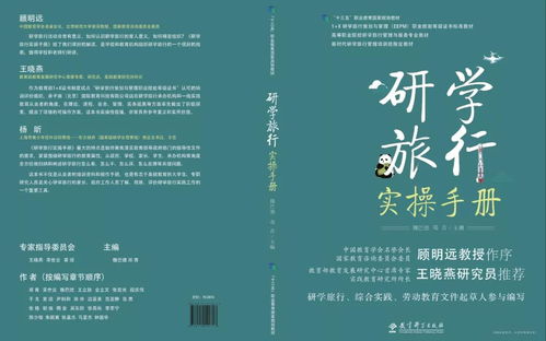 二、 职业命师指导下的系统学习路径