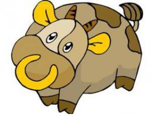 5. 生肖牛：以稳重与执着体现持久等待