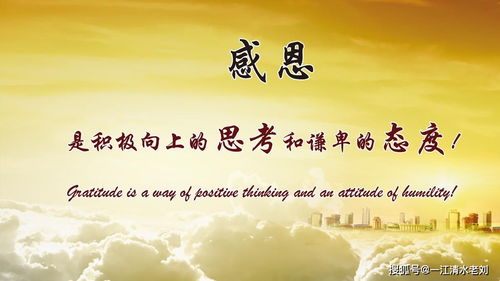 感恩节起源之历史持续发展考证：从殖民丰收到全国性仪式的演变