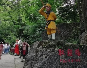 【交通魔咒破解】雨天预警+星座运势