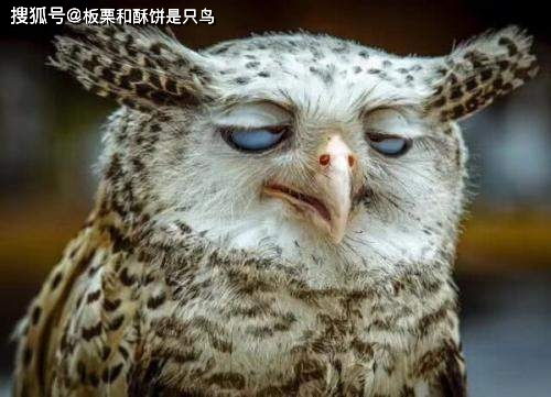 1．叙事主体与周边环境描绘