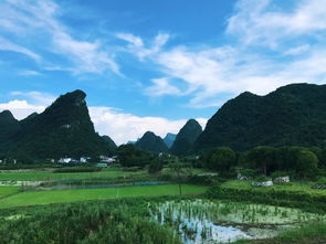 景点：那些“被吹上天”的地方，真的值得去吗？