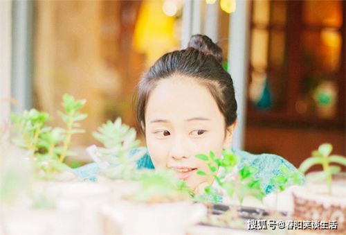1. 情感交流的较高效性
