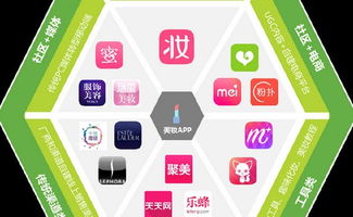 A. 品牌调性匹配模式