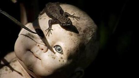 毛骨悚然是什么生肖？打一生肖嫩形容人毛骨悚然吗？