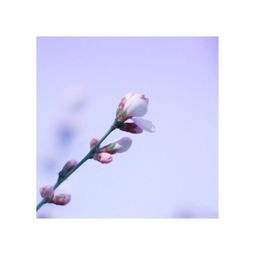 那个...惯与清风暖阳还有女生名字这件小事