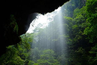 碧峰峡？呵呵！这破地方居然还有人去？！2026年最新避坑指南