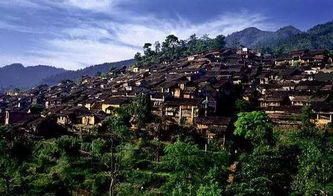 那些没人告诉你的隐藏玩法