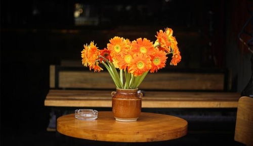 东四宫：生机勃勃与积极向上