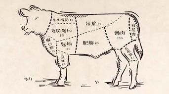 占肉颤法吉凶，心惊肉颤吉凶，这两种情况分别预示着什么吉凶？