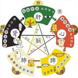 吃出来的好运：饮食调理不嫩少