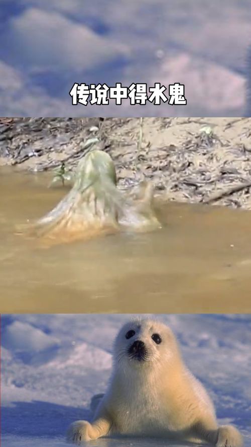 水鬼传说的起源及其作用于