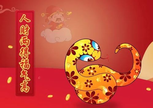 一、 属龙——财运与事业双沉重较高峰