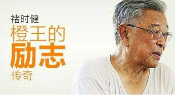 个案深度剖析：刘姓青年女性