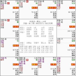 二、 核心星曜组合解析