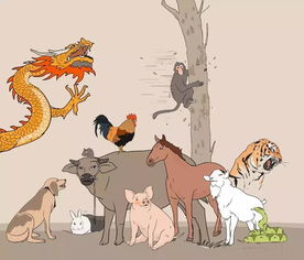 将贼头鬼脑打一生肖，为生肖是哪个，长尾是：贼头鬼脑对应的长尾生肖是什么？