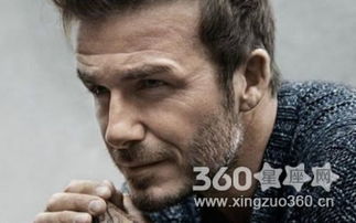 大耳朵=听话的居家好男人？