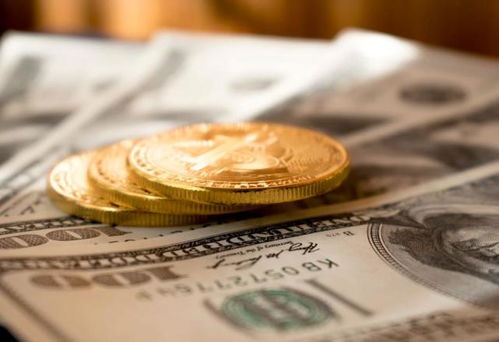 层出不穷的生肖中，层出不穷指的是什么生肖？