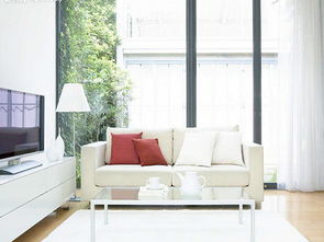 一、 职业分类对居室设计的影响机制