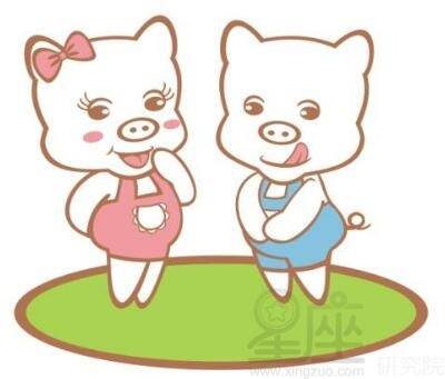 2019年属猪的人命运如何，生肖猪的寓意是什么？