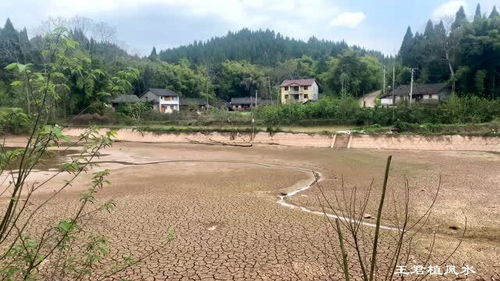 （三）主观认知层面之心态调适