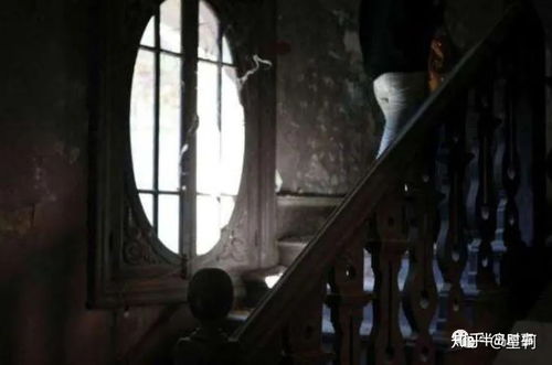 老槐树与“鬼门”意象的关联