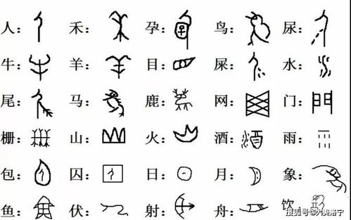 汉字中哪些字属于五行中的金属性？