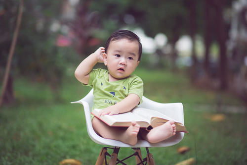 鼠年男孩名字——木字旁的乱炖大集合