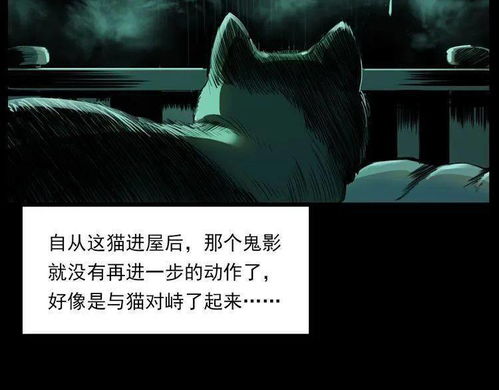 古墓幽深鬼影现象之概述