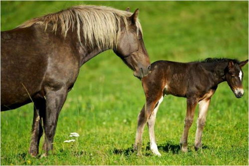 爱情篇：小心后院起火！