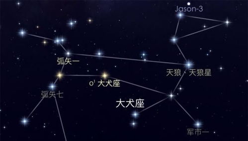(一)星宿组合效应:协同抑或制衡?
