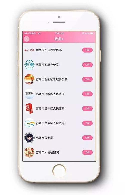 4. 生肖牛：稳重、 踏实