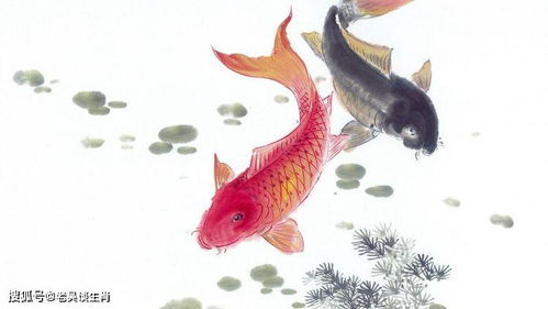 将虫鱼之学对应成生肖，会是哪个生肖呢？