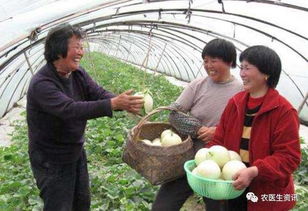 二、独特性？这玩意儿跟鸡毛掸子差不多——堪谁抓得紧