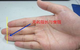 左右手纹理差异的统计意义