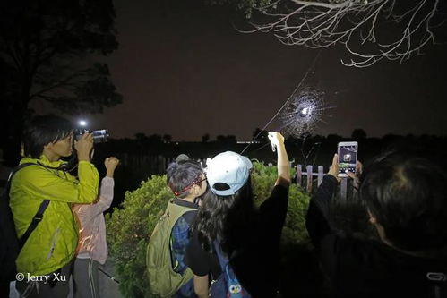 1. 历史持续发展基因与民间信仰