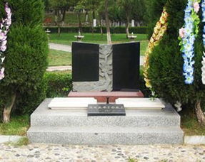 震惊！将军山公墓背后的惊天秘密大揭秘