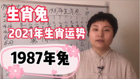 1978年属马的人运势解析，哪位大师讲解得最引人入胜？