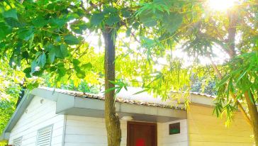 震惊！香草世界门票团购居然暗藏玄机！2026年去会被雷劈吗？