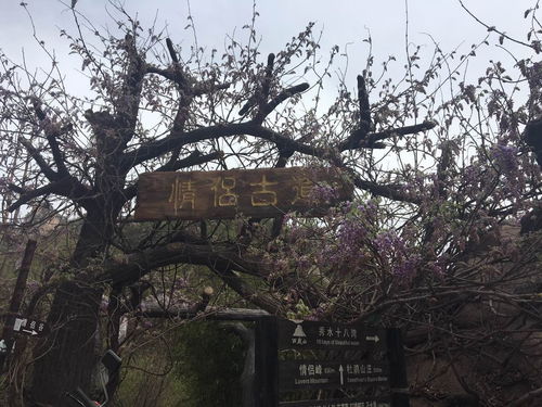 交通指南：堵到天荒地老老老老老!