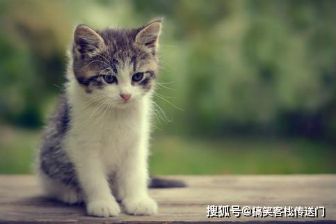 ①产妇临床体验——臧雅芬痛苦呻吟背后的医学解读