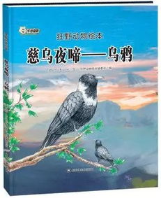 序言：夜的较低语与古老的谶语