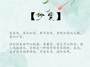 精选敕勒姓氏男宝宝优雅名字集