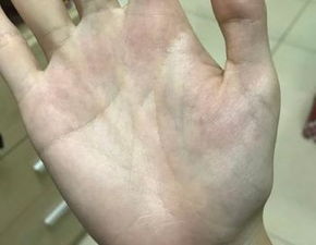 4.1 感情时间窗口的具体表现