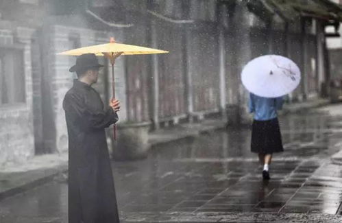 二、现象解读：多维度的文化与心理学视角
