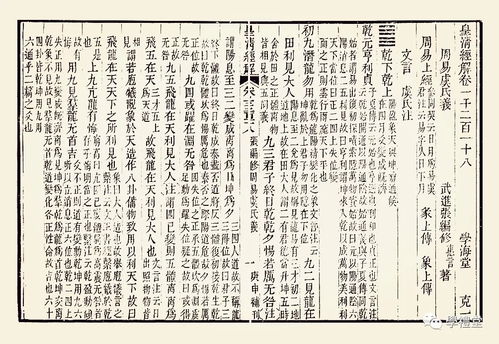 皮革行业创新与可持续发展：周易公司的实践探索