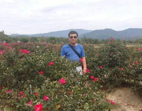 门票价格让人心跳加速！