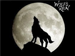 2023年4月杀破狼星座运势如何，12星座整体运势会有哪些变化？